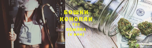 амф Михайловск