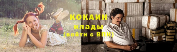 амф Михайловск