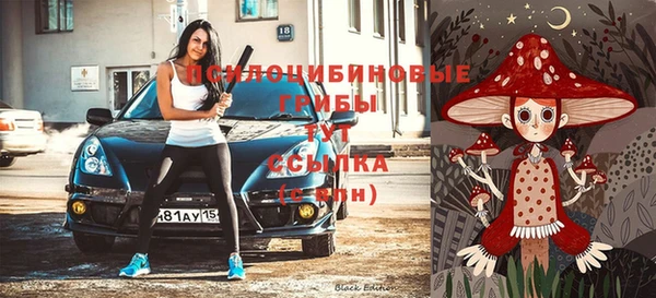 амф Михайловск