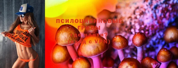 амф Михайловск